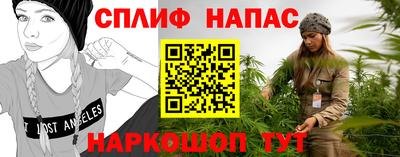 стаф Бузулук
