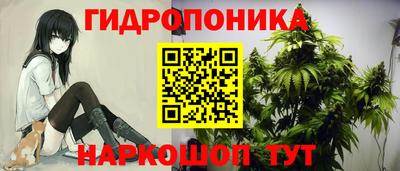 кокс Будённовск