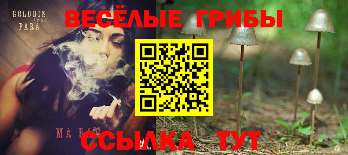 Галлюциногенные грибы Cubensis  Вход с VPN  купить  цена  Сорочинск  Галлюциногенные грибы GOLDEN TEACHER 